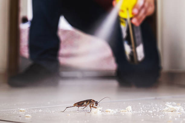 Best Residential Pest Control  in Baker, LA