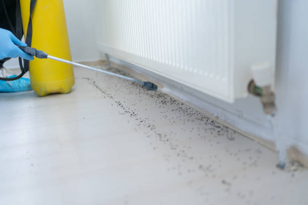 Best Exterminator Services  in Baker, LA
