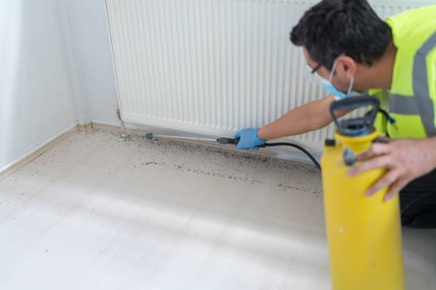 Best Cockroach Control Services  in Baker, LA